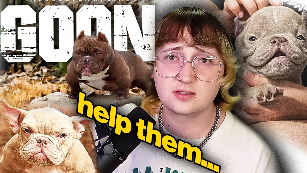 Bulldog Breeders Need to Be Stopped