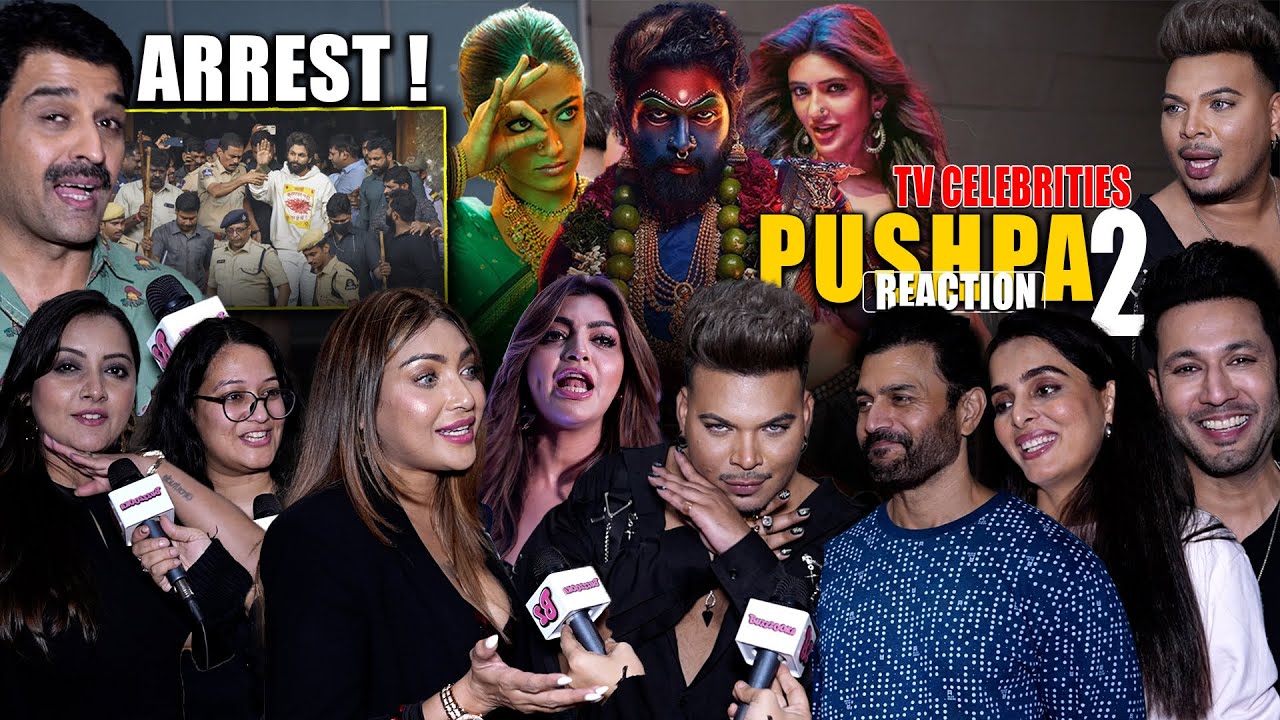 TV Celebrities Are Saying About Allu Arjun's Arrest and Pushpa 2's Impact