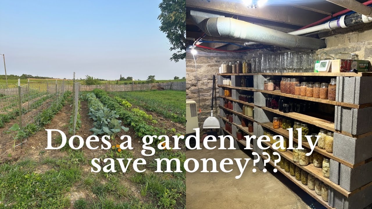 We Tracked Every Penny&hellip; Here&rsquo;s What Our Garden Saved Us