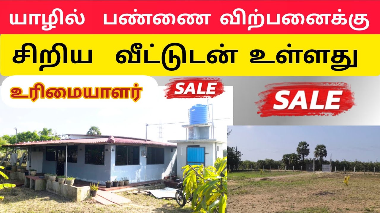 🛑  இந்த  காணி | உடனடி விற்பனைக்கு  Jaffna | Unka Nanban | home tour | #viral #tamilvlog #srilanka