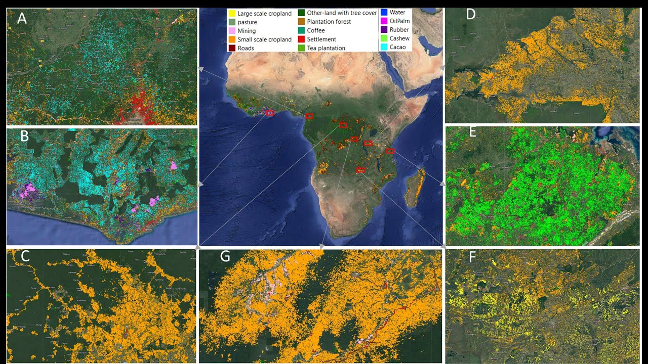 Using AI/ML and RS to detect and track land-use following deforestation at the Pantropical scale