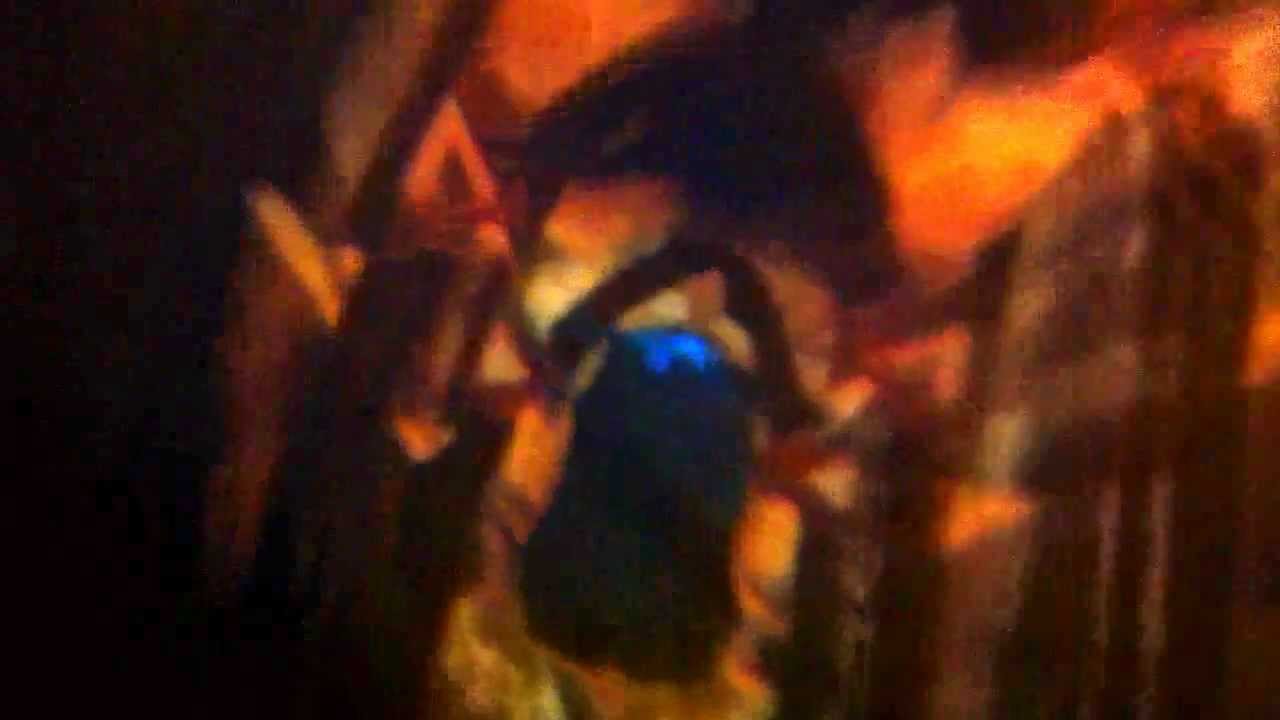 Phantasialand - Race for Atlantis (onride)