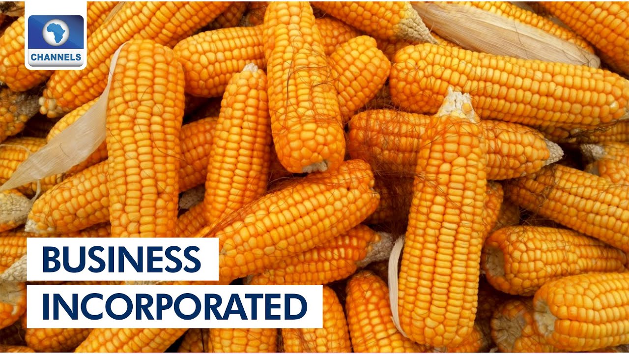 Kenya's Maize Imports Doubles, Africa Equity Markets, +More | Business Incorporated