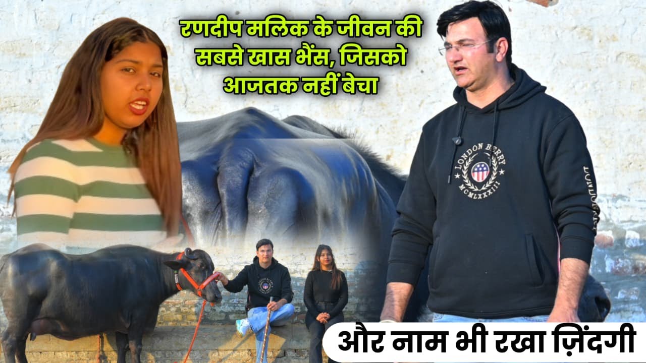 रणदीप मलिक के जीवन की सबसे खास भैंस || Randeep Malik Dairy Farm