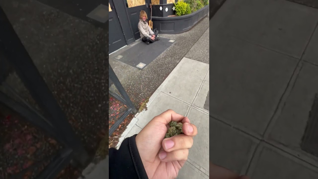 Giving out free weed in Seattle !