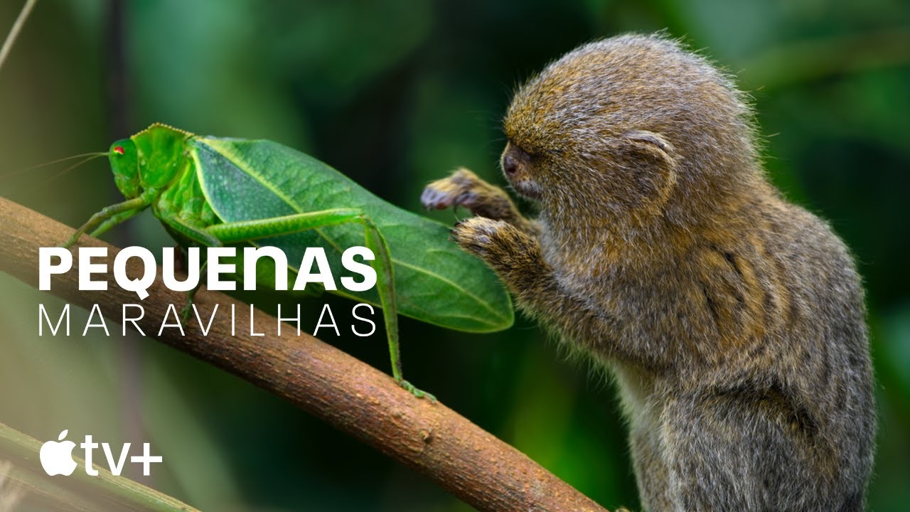 Pequenas Maravilhas – Trailer oficial | Apple TV+