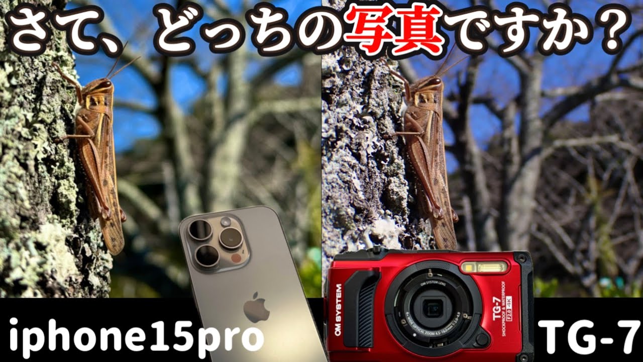 【徹底比較】アイホンユーザーがTG-7を使っていろんな写真を撮って比べてみた