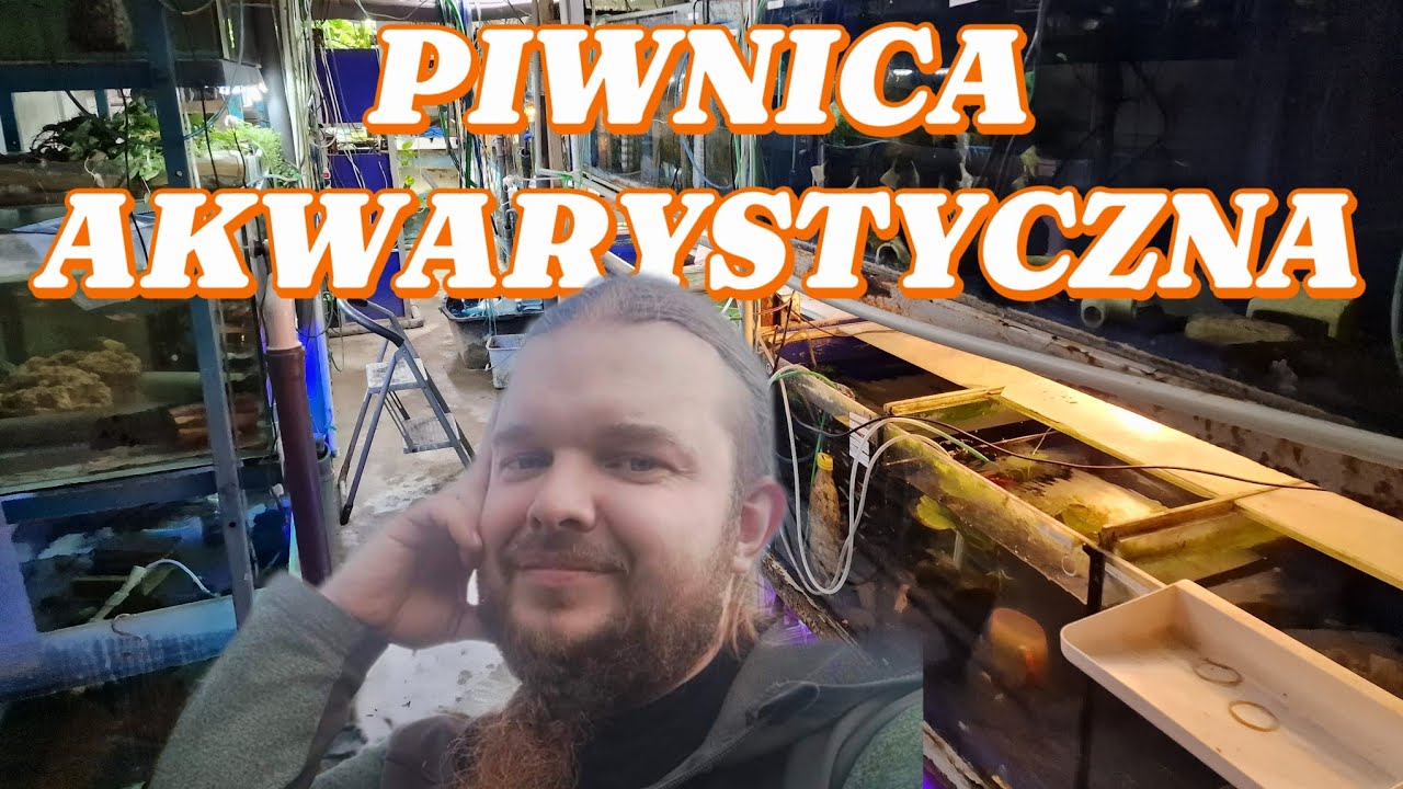 Piwnica akwarystyczna Łódź Damian Lewiński