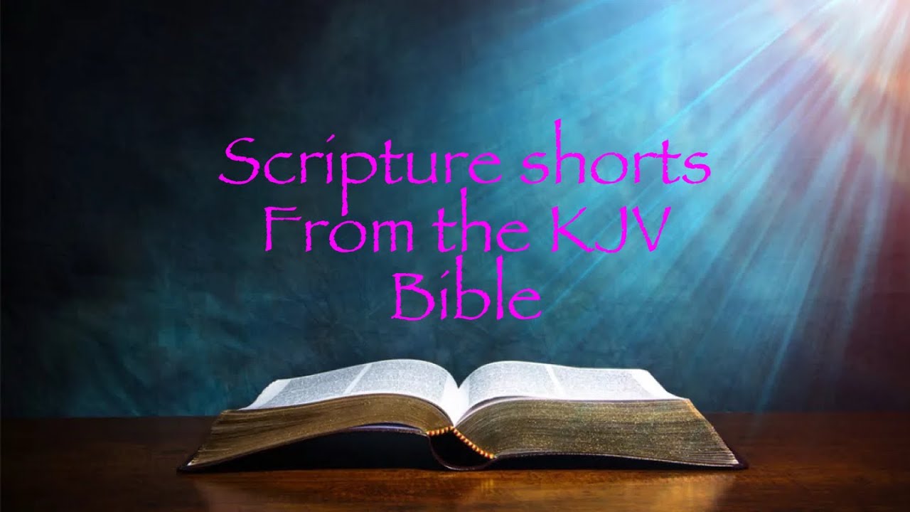 Scripture shorts vol.1
