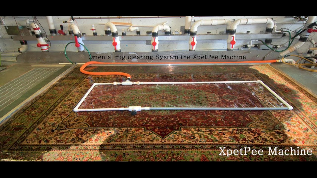 Eco friendly oriental rug cleaning service