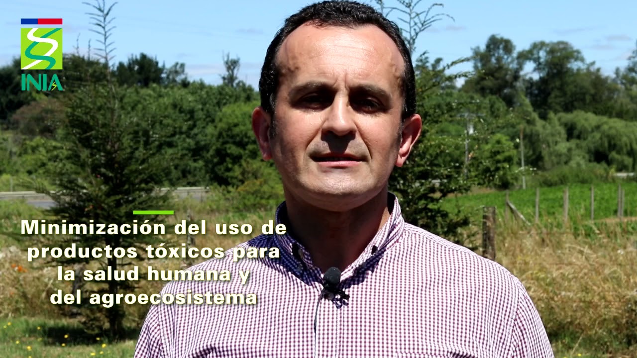 &iquest;Qu&eacute; es la agroecolog&iacute;a?