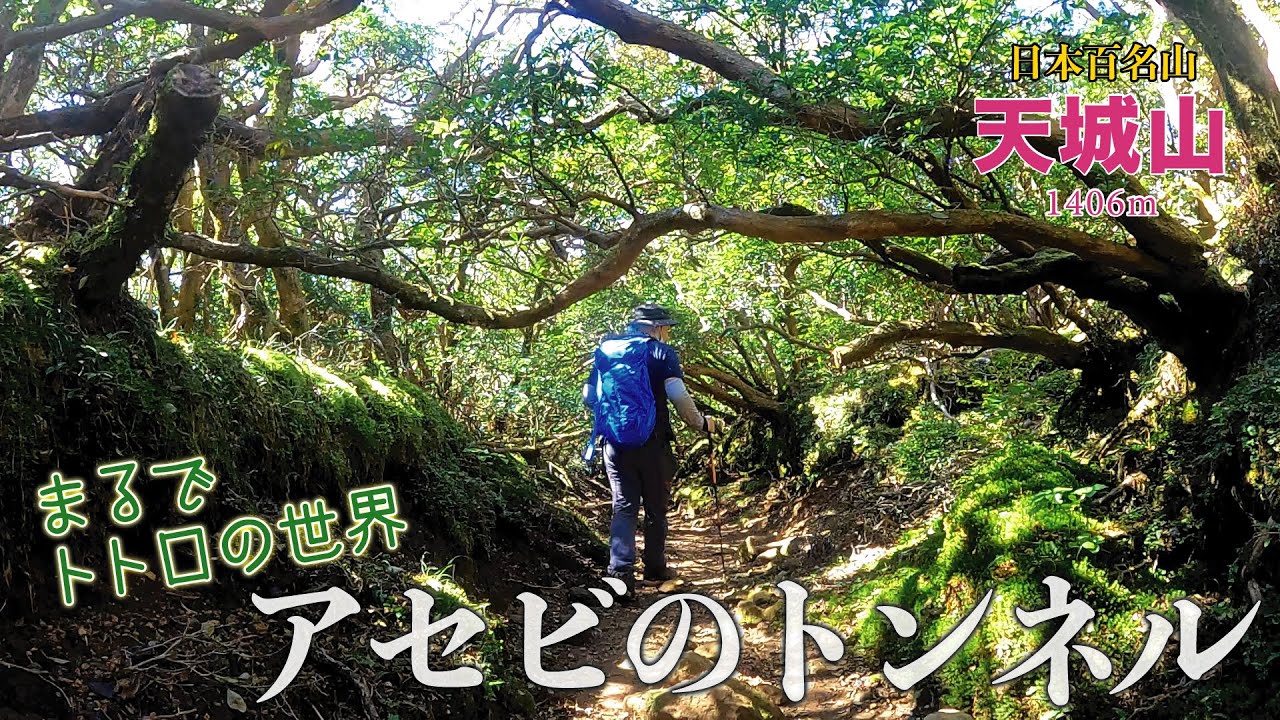 【百名山】天城山登山！トトロの道に感動！下山時の悪路に絶望！