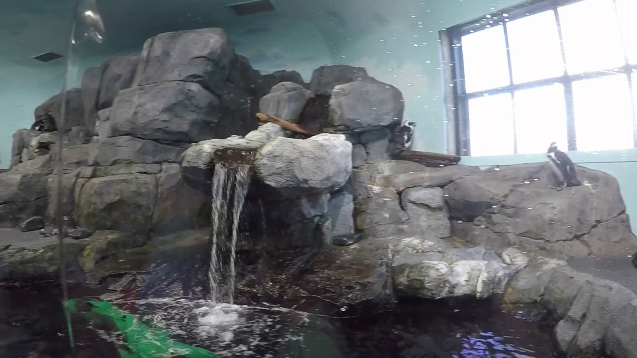 April 14th 2017 Monterey Bay Aquarium
