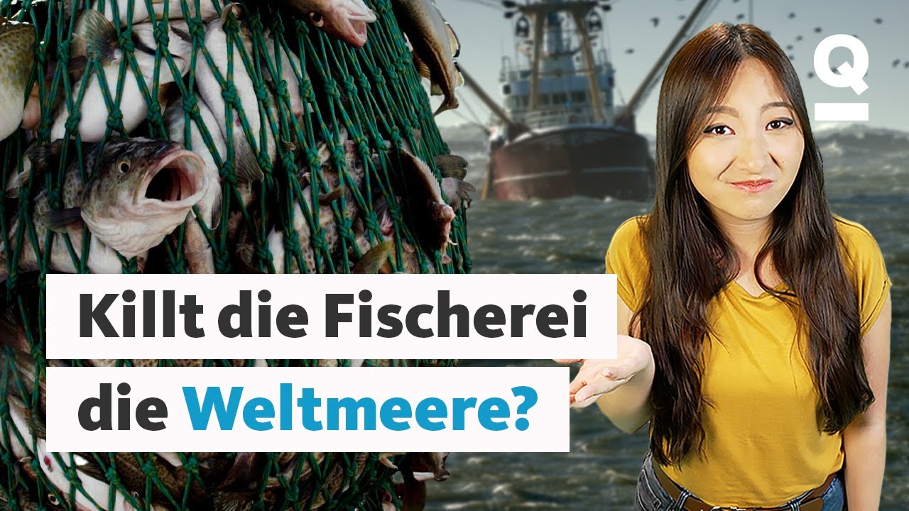 Darf ich noch Fisch essen? I Quarks