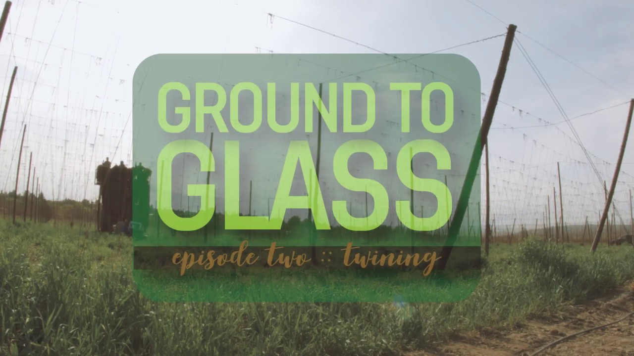 Twining: Ground to Glass II