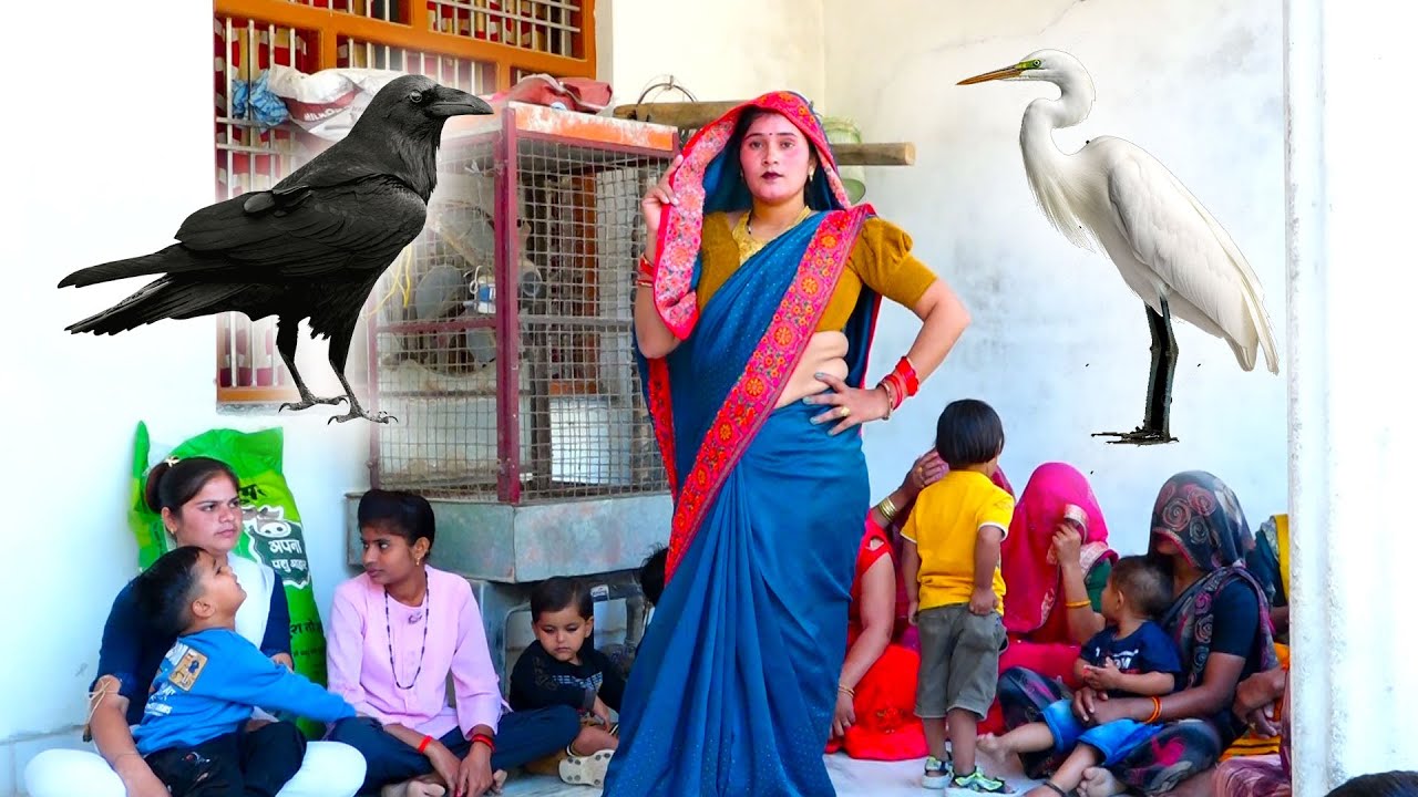 देहाती नाचगीत !! में बगुला सी गोरी कौआ से मिले है मोकू बालमा || शालू भाभी का गदर डांस  Roli kishori