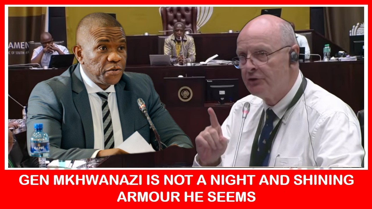 NHLANHLA MKHWANAZI IS NOT A NIGHT AND SHINING ARMOUR HE SEEMS