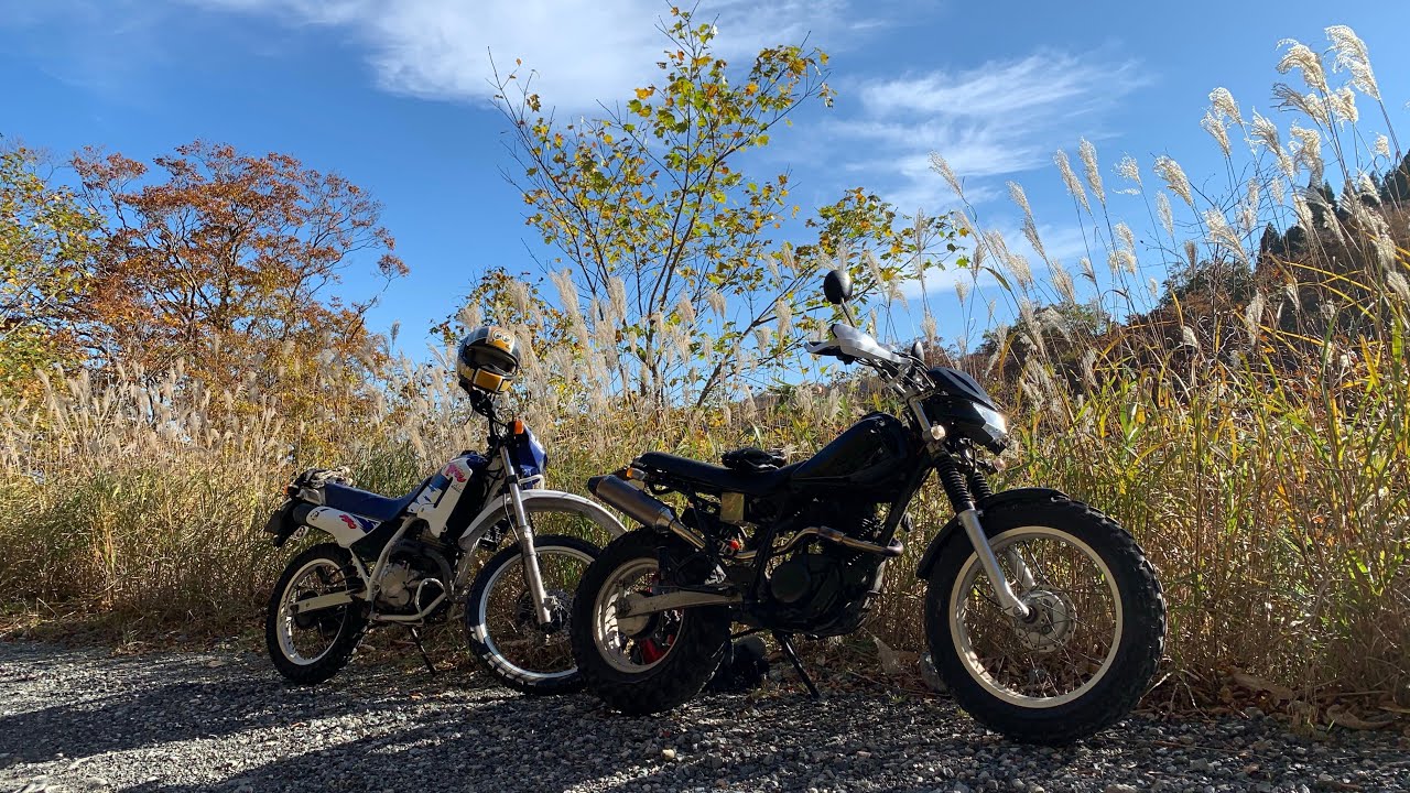 瀞川氷ノ山林道 HONDA ディグリーとYAMAHA TW200で行く 超初心者 林道ツーリング #しふみー #ディグリー #tw200