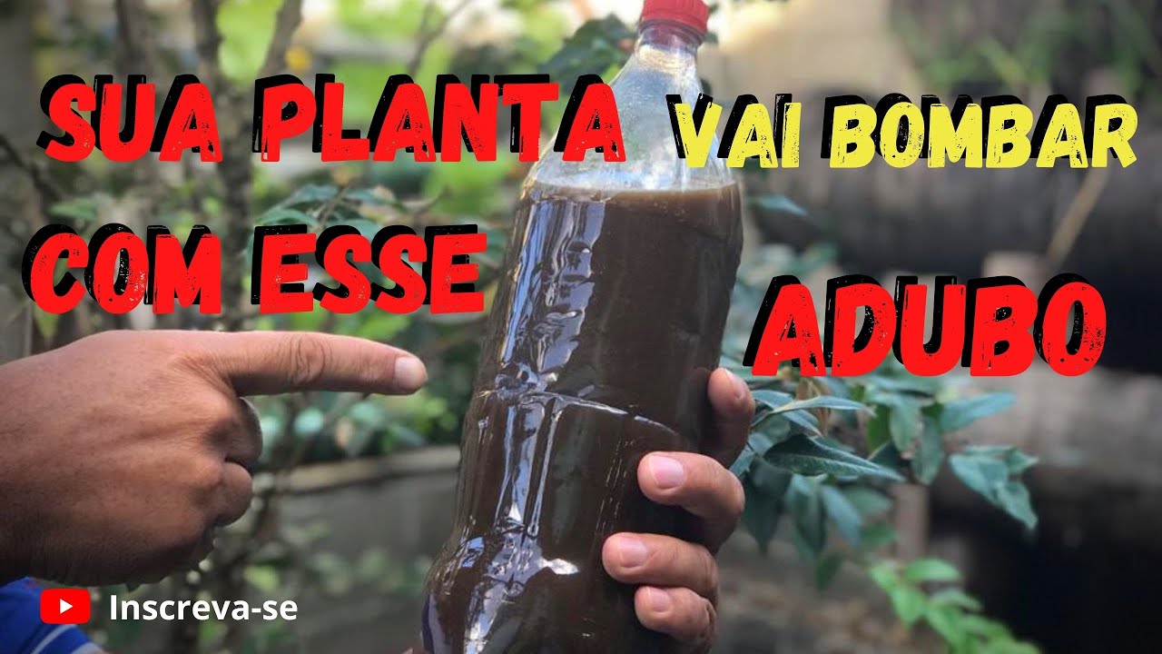 Como fazer adubo l&iacute;quido (chorume) de Torta de mamona | Veja esse v&iacute;deo