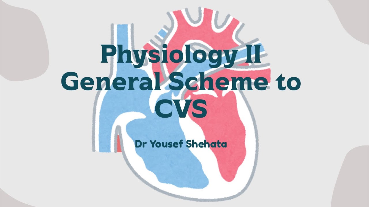 Physiology II | General Scheme to CVS
