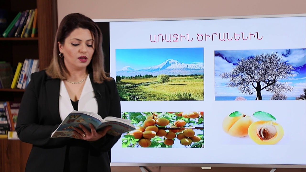 Առաջին ծիրանենի