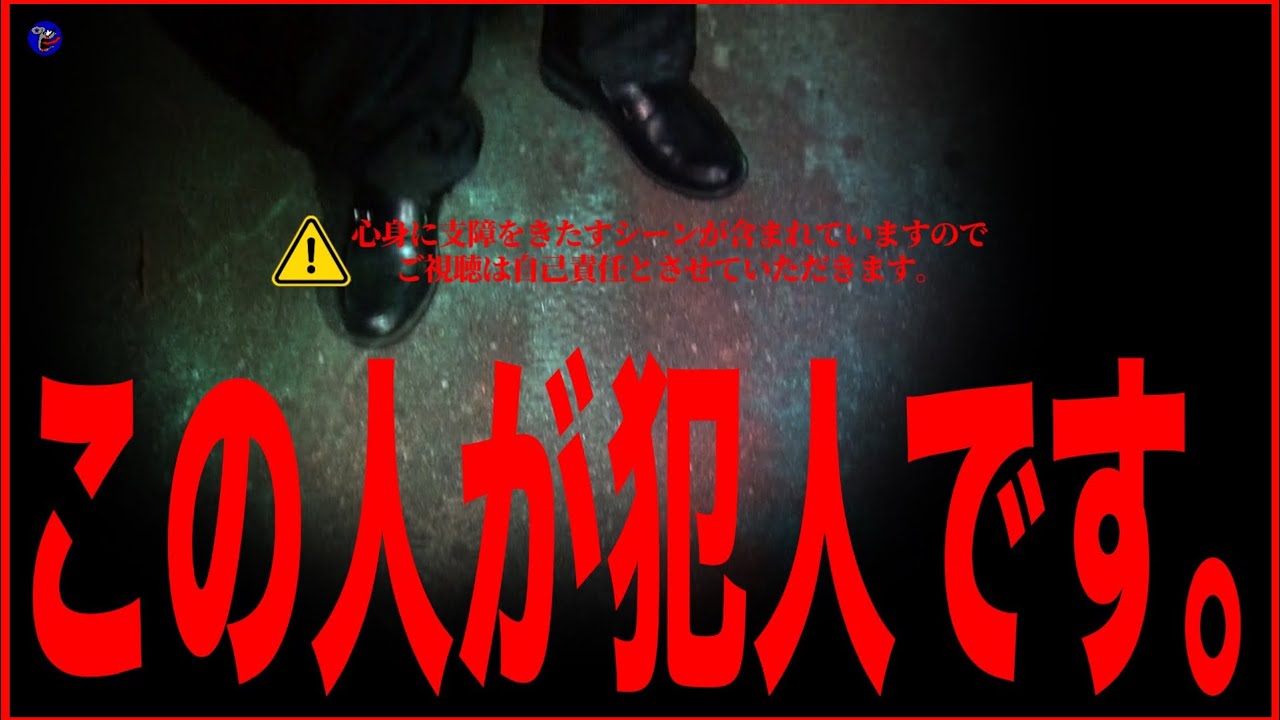 【実際の映像あり】※犯人に遭遇！危険人物にきっと◯されていた！