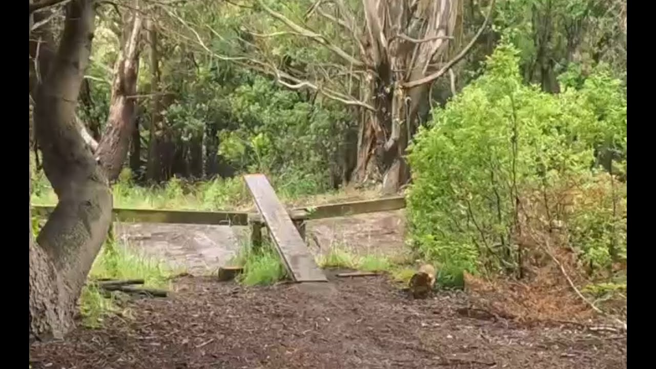 Christchurch MTB on New Years Day, in the rain