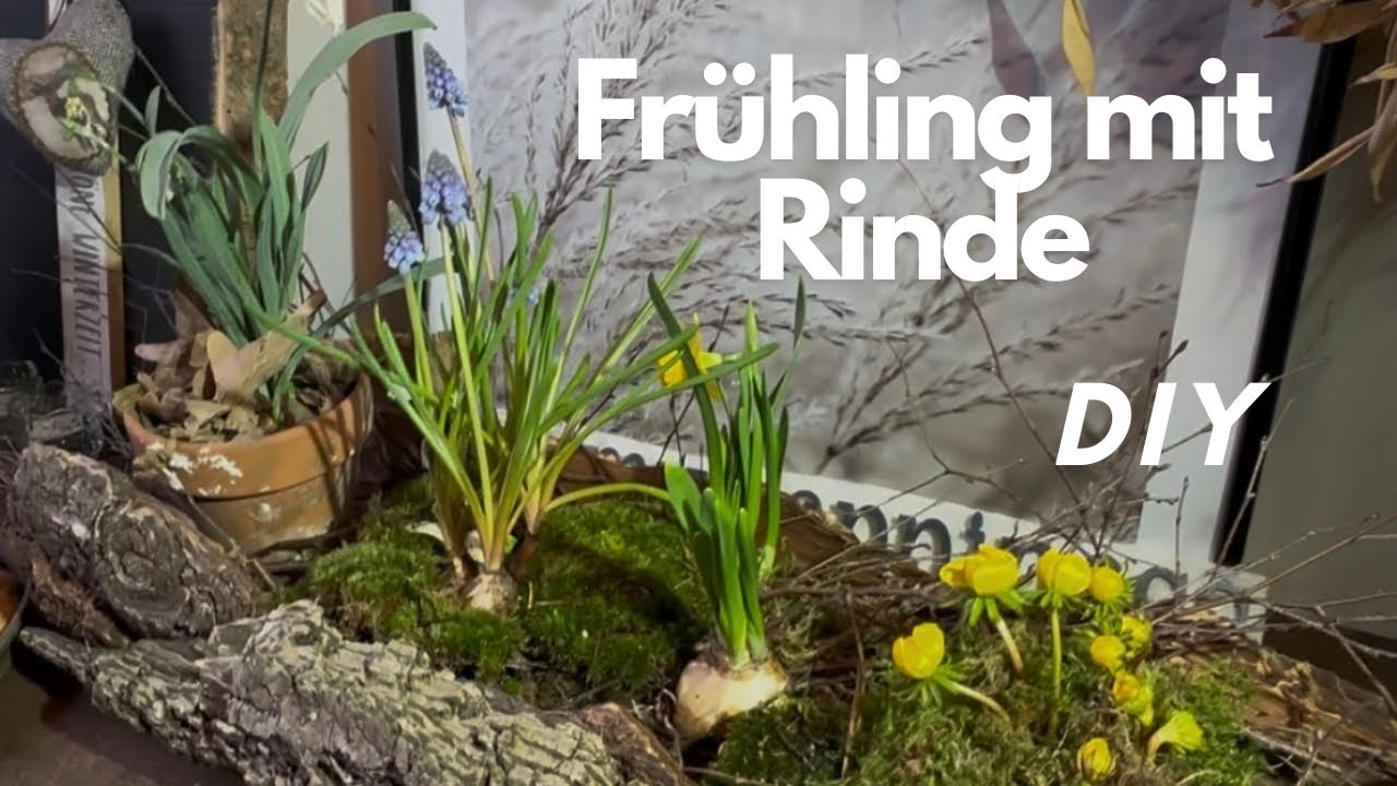 Frühlingdeko / Osterdeko in einer Schale aus Rinde 💚