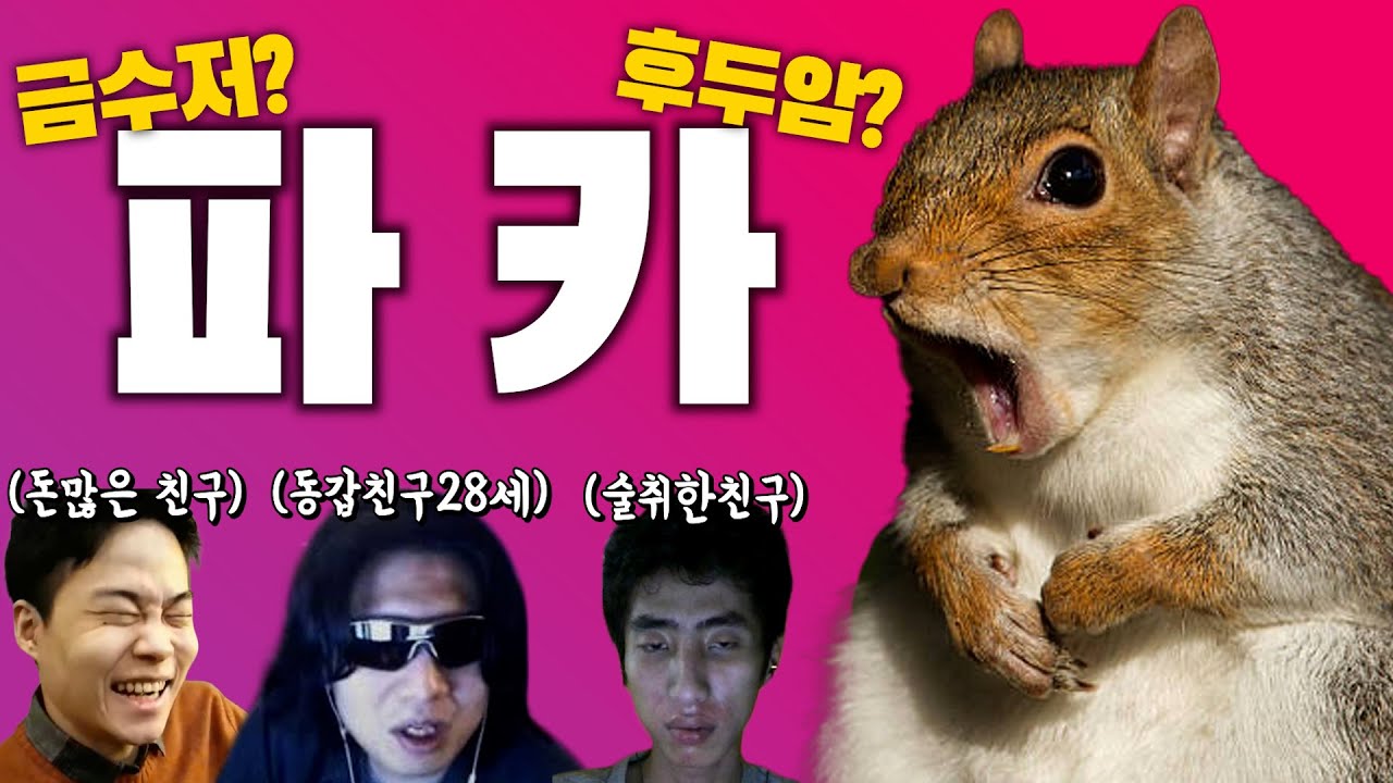 파카, 당신이 몰랐던 5가지 사실(feat.랄로,도파,이재석)