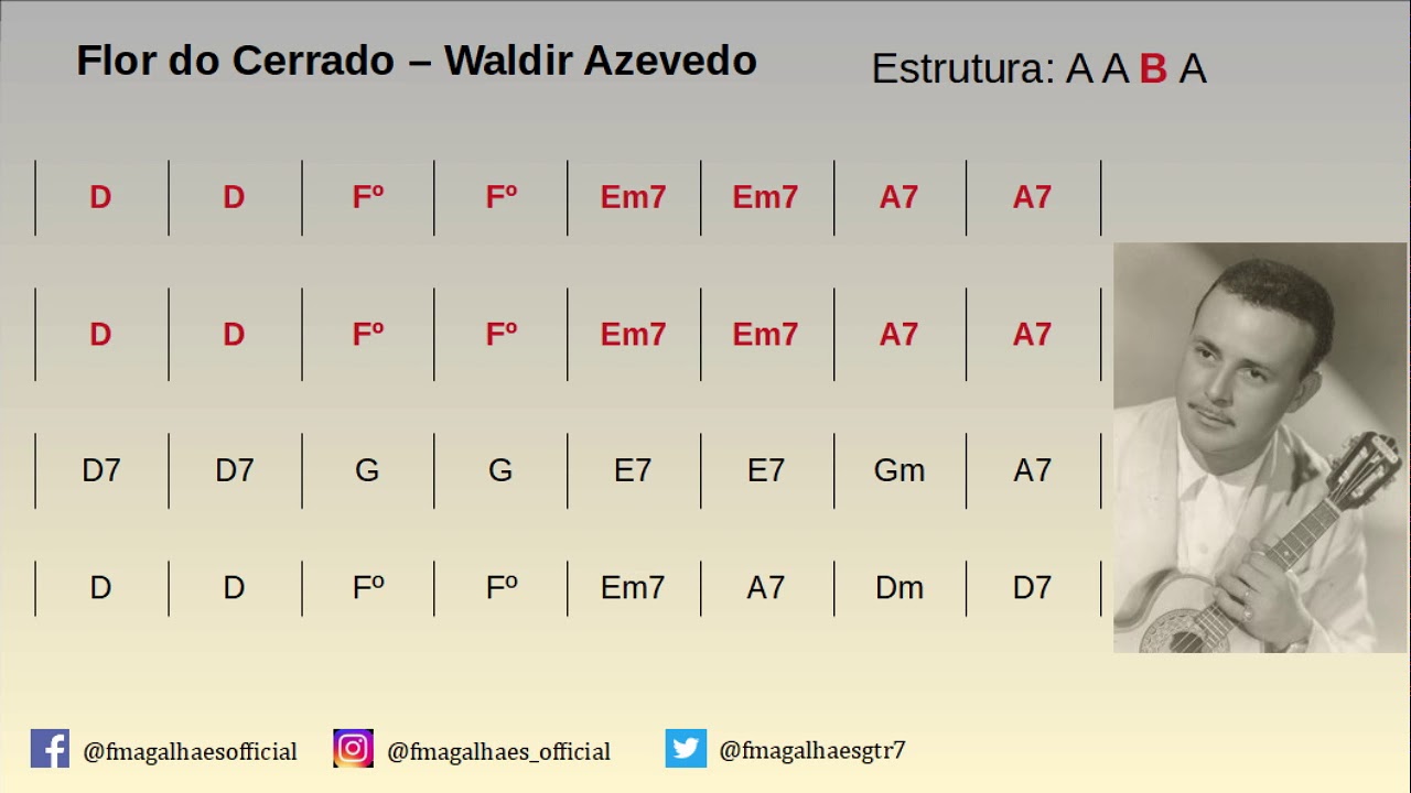 Playback para solo - Flor do cerrado (Waldir Azevedo)