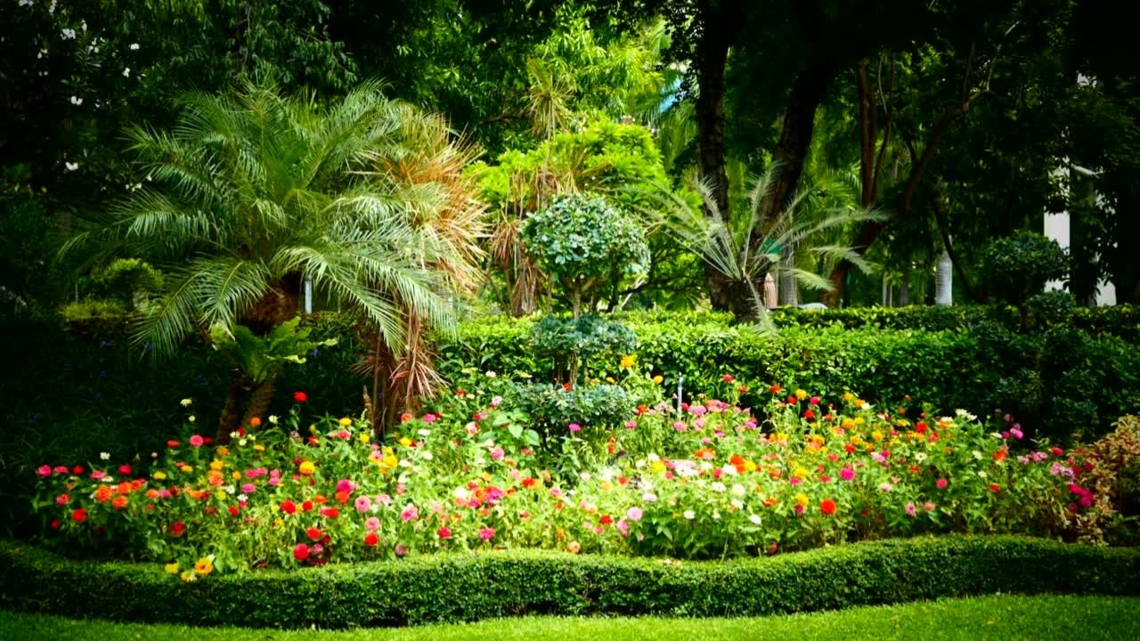 Spring Garden Bird Sounds 🌸🐦 Peaceful Morning Nature Ambience (No Music)