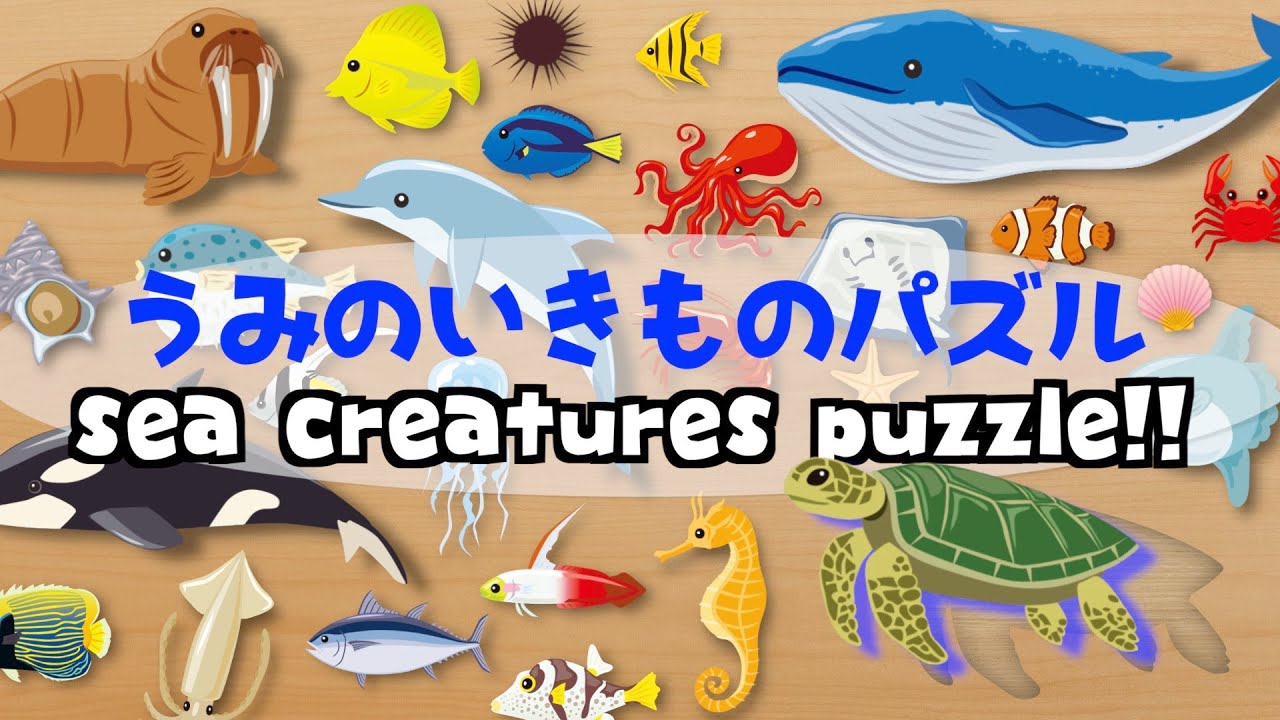 【海の生き物パズル】28種類の海の生き物やお魚さんのパズルに挑戦！うみのいきものパズル リアルなお魚さんいっぱい★クジラ イルカ カメ シャチ sea creatures puzzle