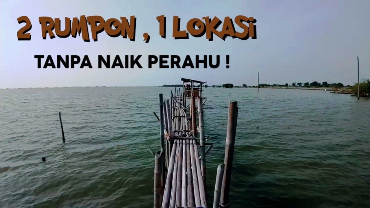 Rumpon TANPA NAIK perahu! Tambak Rejo Semarang, ada 2 RUMPON dalam 1 LOKASI!