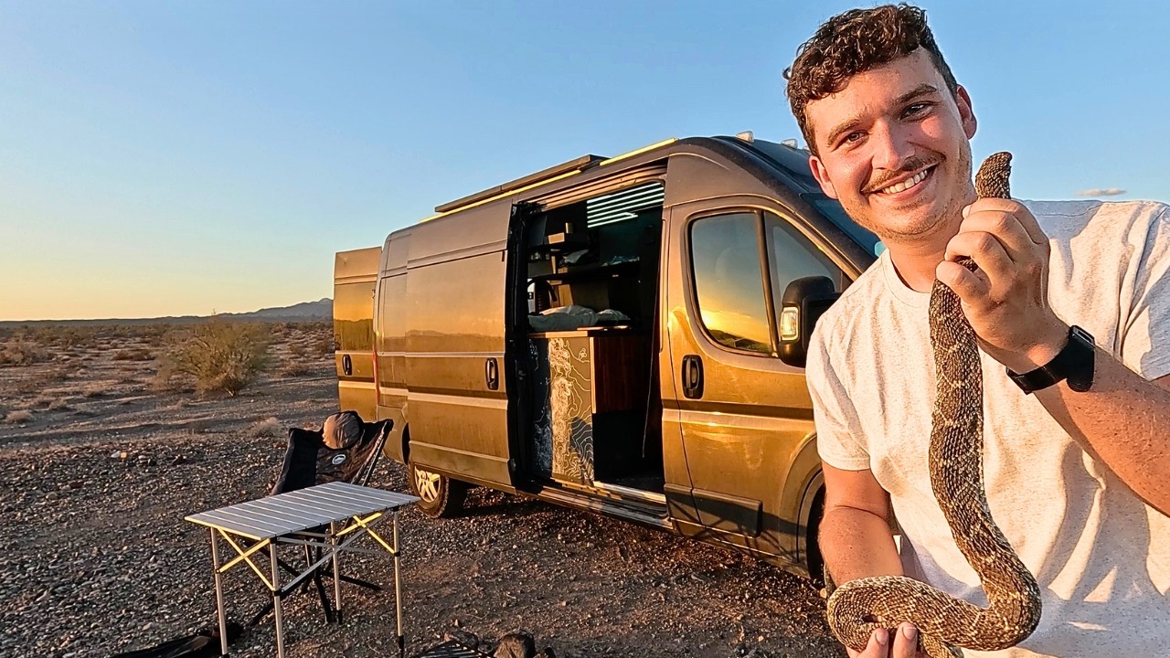 Cooking Rattlesnake, Vanlife Camping In the Desert | 111°F