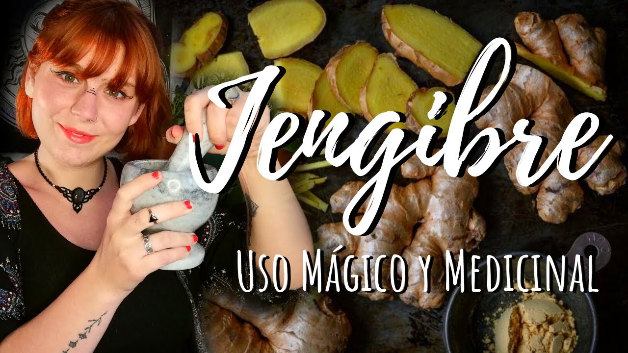 JENGIBRE - Uso MÁGICO y MEDICINAL