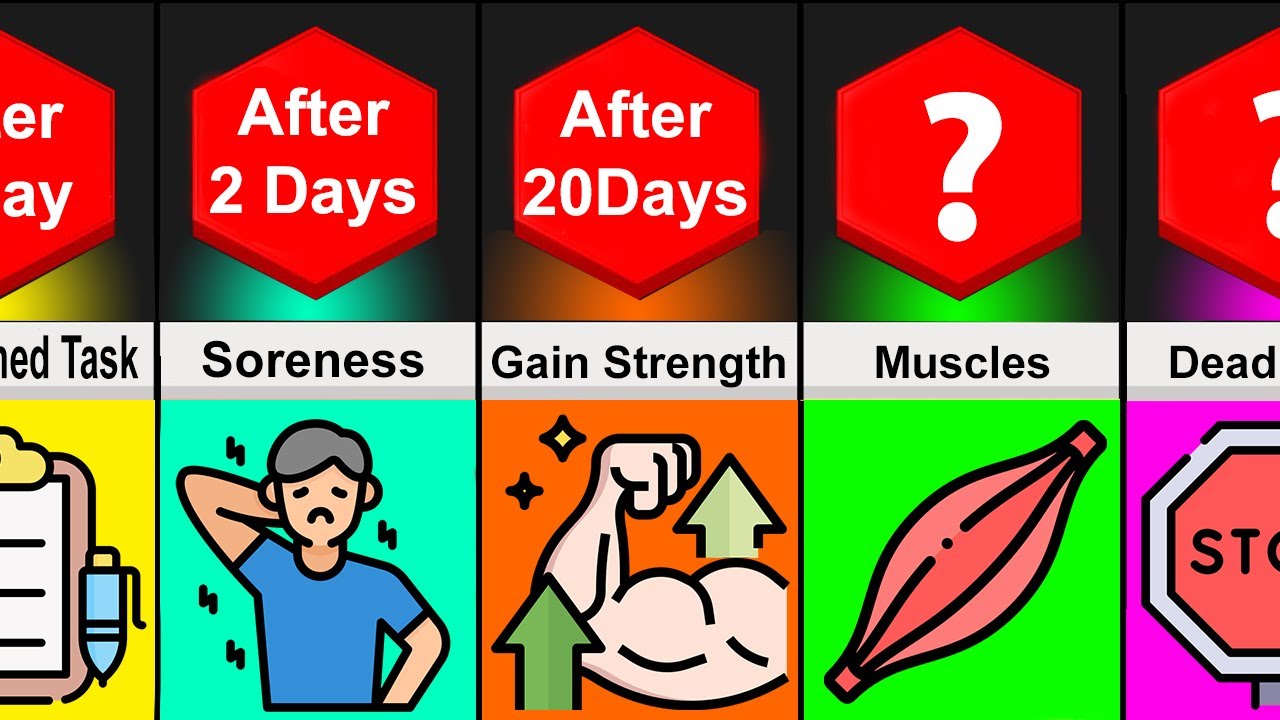 Timeline Comparison: What If You did 100 Push Ups Everyday