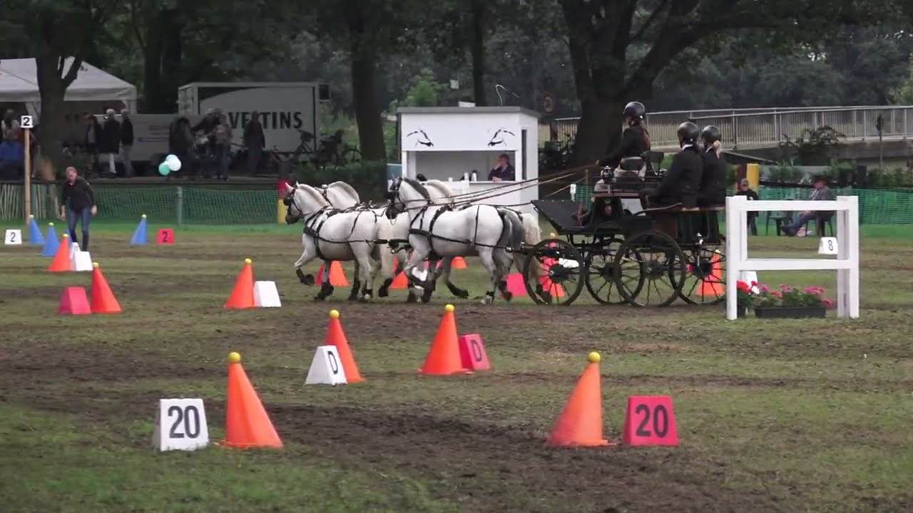 Deutsche Meisterschaft in Emlichheim Hindernisfahren  Kl.S Vierspänner Pony