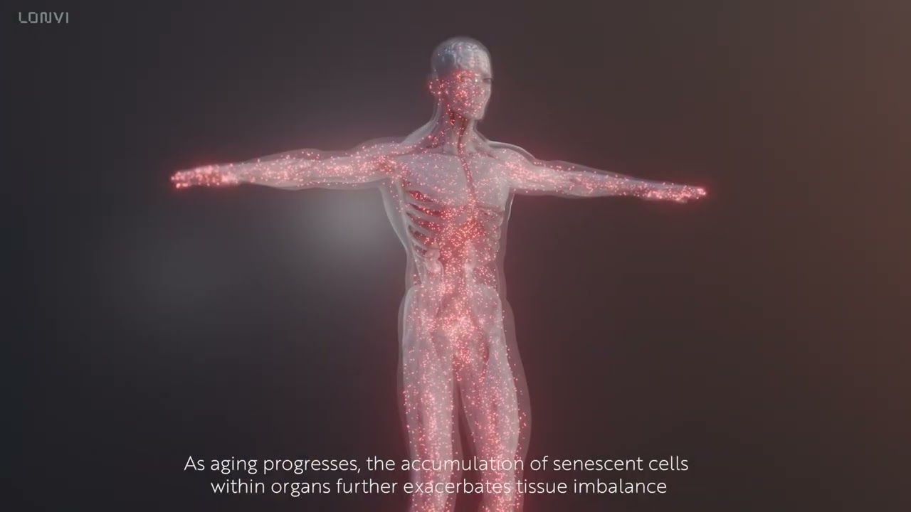 PCC1(Procyanidin C1) and Cellular Senescence | Exploring the Science of Aging