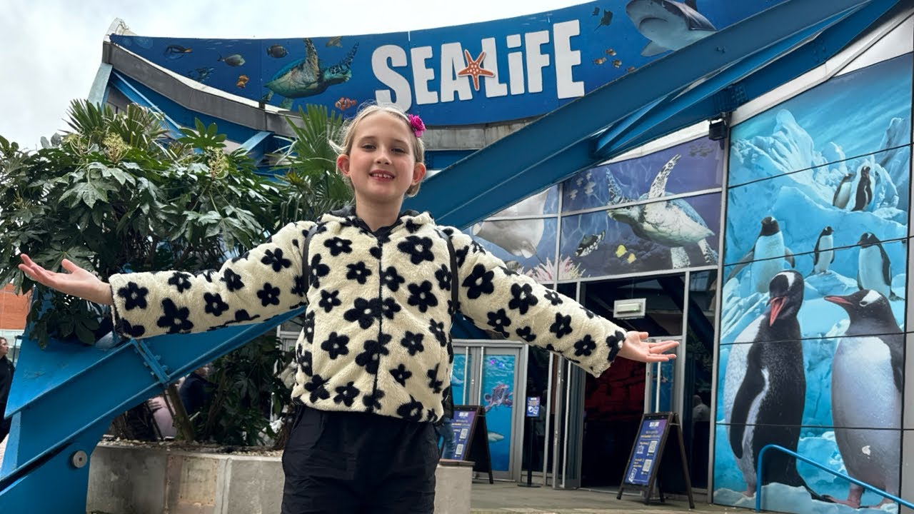 National SEA LIFE Centre Birmingham 4th February 2024 Vlog