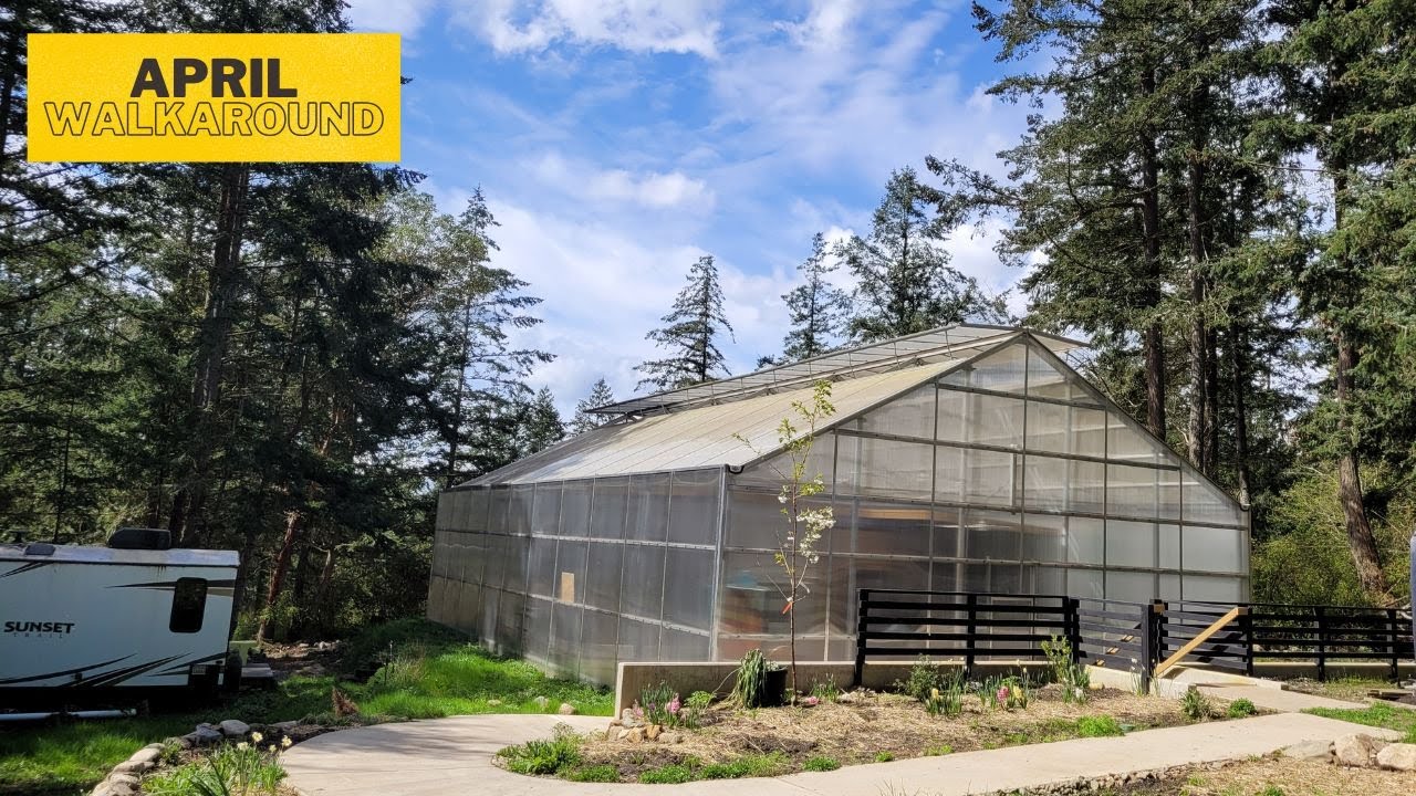 E104 Tiny Home in a Greenhouse | Cleaning, planting, and building inside the greenhouse