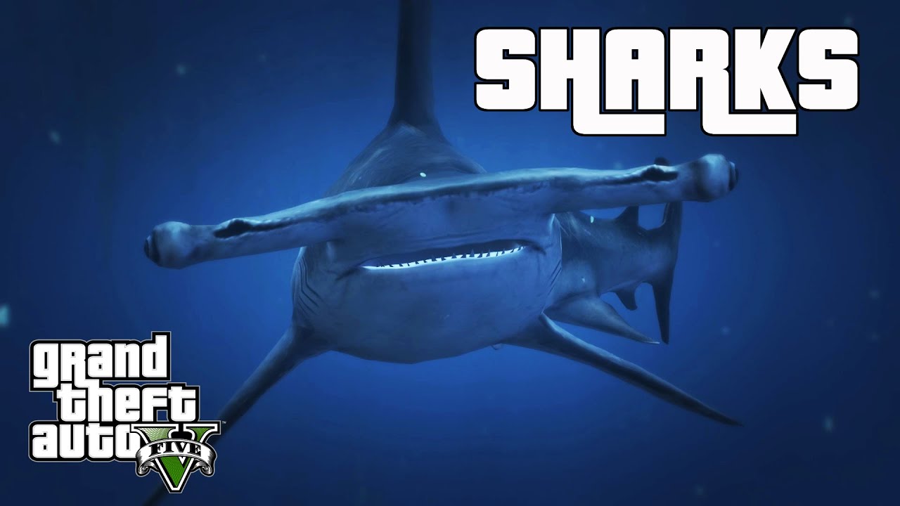 GTA 5 Wildlife Documentary | Sharks
