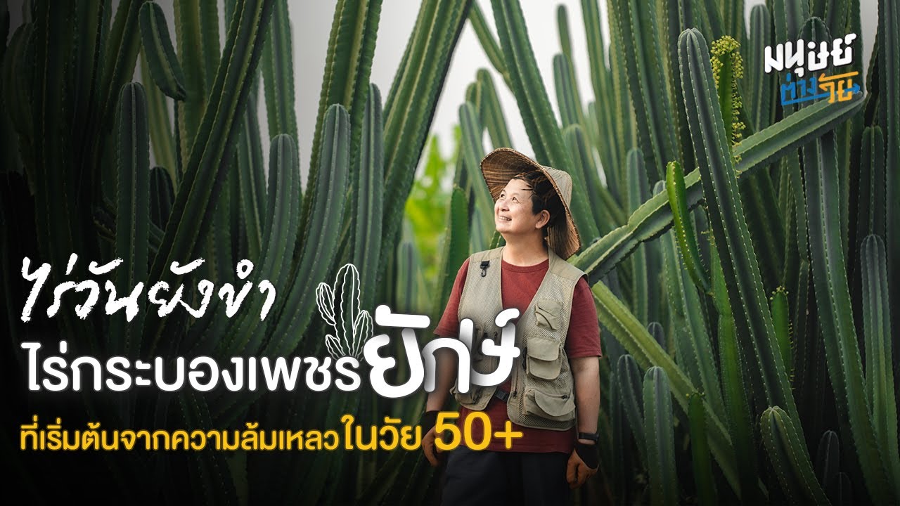 'ไร่วันยังขำ' สวนกระบองเพชรยักษ์กินได้ ที่เริ่มต้นจากความล้มเหลวในวัย 50+