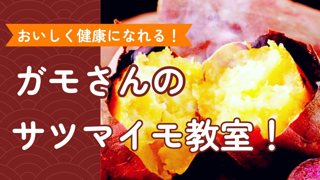【お勉強】ガモさんのおいしく健康になれるサツマイモ教室！