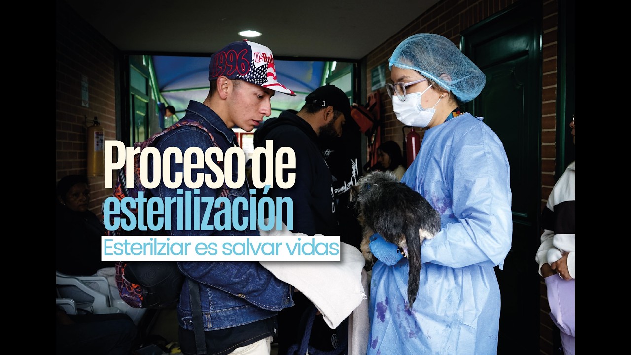 Esterilizar es salvar vidas #cundinamarca