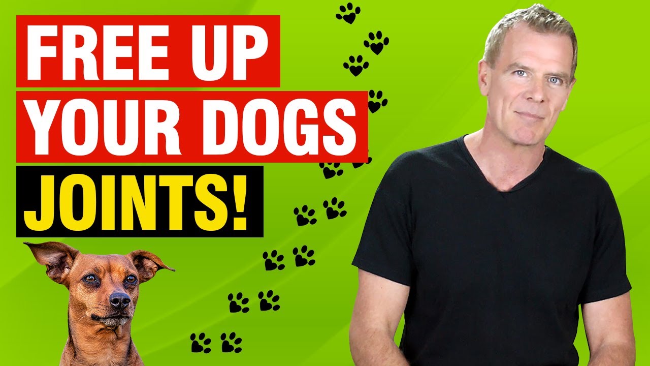 3 Natural Dog Arthritis Supplements (CRUCIAL for Dog Health)