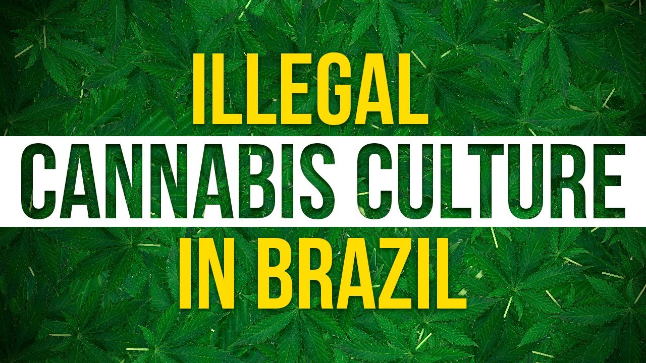 Illegal Cannabis Culture in Brazil