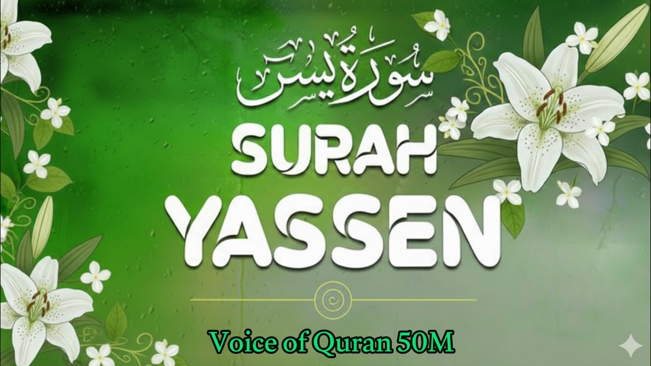 Surah Yaseen Tilawat By Voice Of Quran 50M #surahyaseen #tilawat #quran #holyquran #quranaudio 
