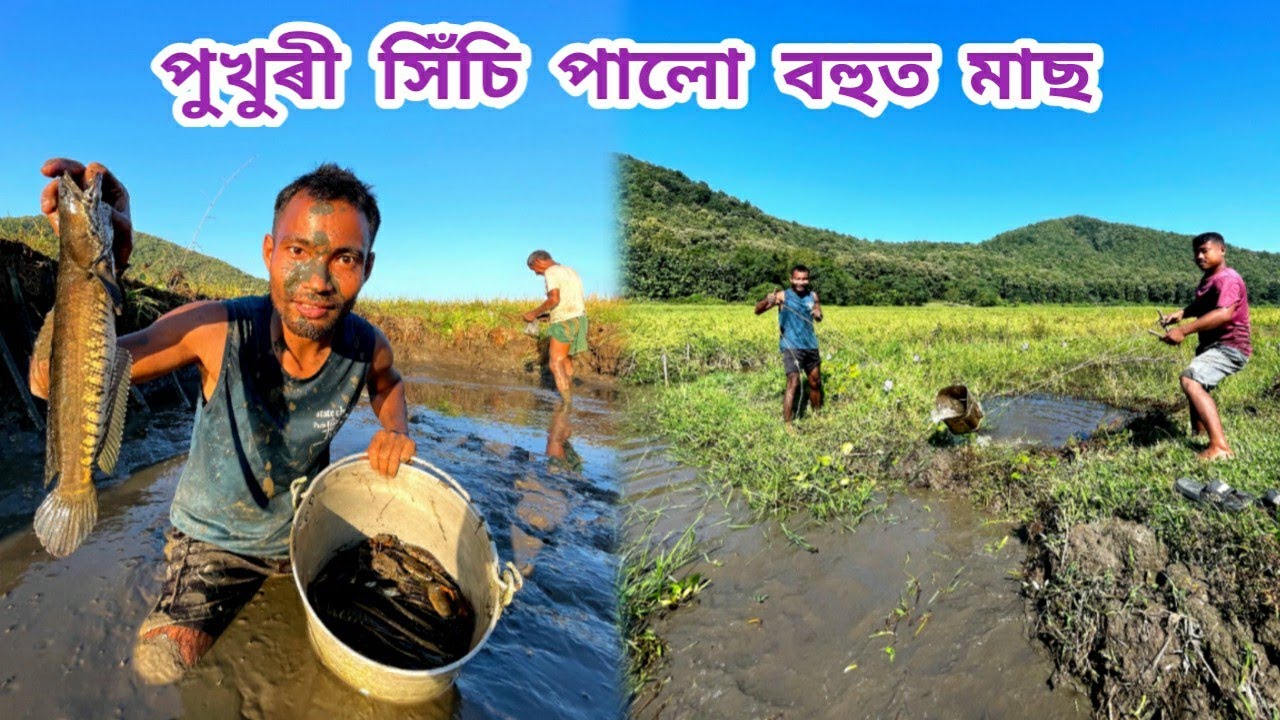 পুখুৰী সিঁচি পালো বহুত মাছ !!