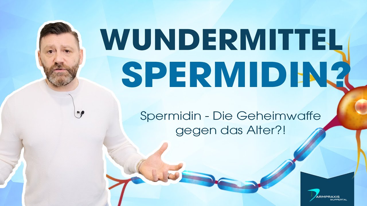 Anti-Aging Medizin - Ist SPERMIDIN das neue Wundermittel gegen das Altern?
