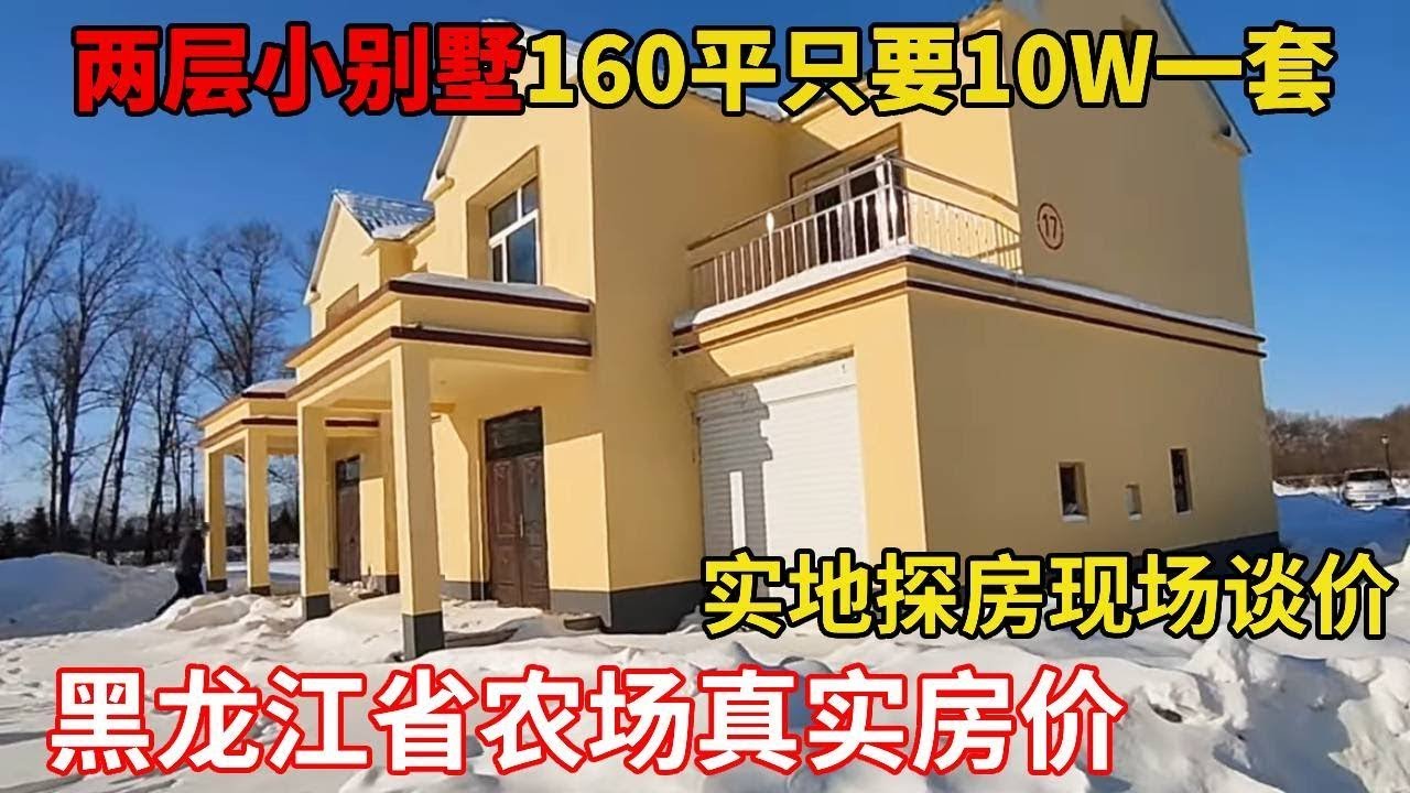 两层小别墅160平只要10W一套你敢信？黑龙江省农场别墅小区实地探房以买房者身份，现场谈价！【鬼头看房】